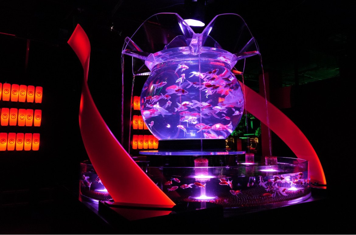 🐠 아트 아쿠아리움 미술관 GINZA (아토 아쿠아리우무 비주쓰칸 긴자) 이미지 1